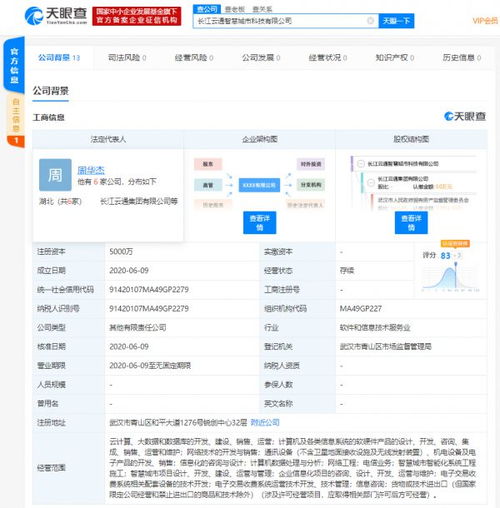 阿里攜手長江云通，成立智慧城市新公司瞄準(zhǔn)云計算與產(chǎn)業(yè)升級